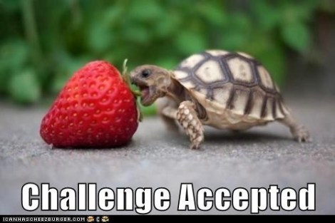 challenge accepted
