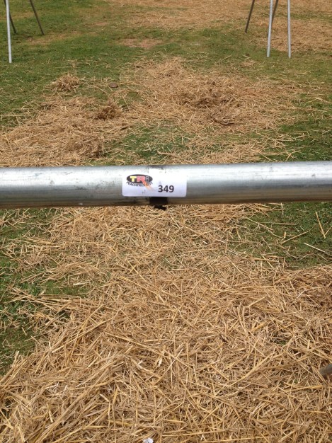 05CF310A-FD36-452E-883D-BD334D22886B-5549-00000A5BD4049EF5_zpsc2afb559