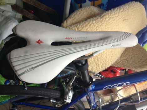 540304_231321253691462_616979953_n