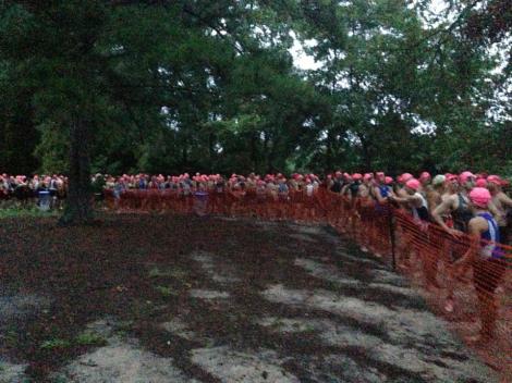 9315_708422115838655_1345223815_n